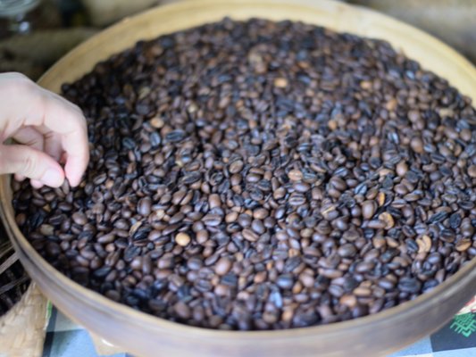Coffee 101: What is Honey Processed Coffee?