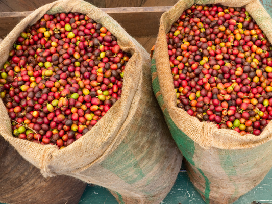 What is Kona Coffee? Everything You Need to Know